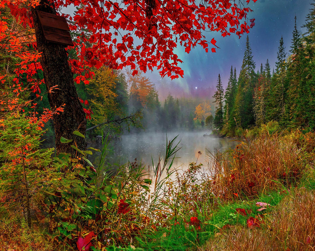 Springbok Early Dawn On The Lake 1000 Piece Jigsaw Puzzle