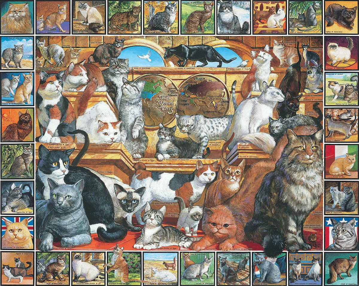 White Mountain Puzzles World of Cats - 1000 Piece Jigsaw Puzzle