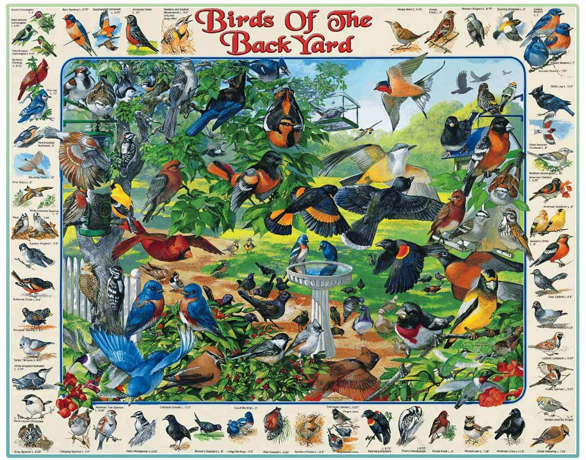 White Mountain Puzzles Birds of the Backyard - 1000 Piece Jigsaw Puzzle