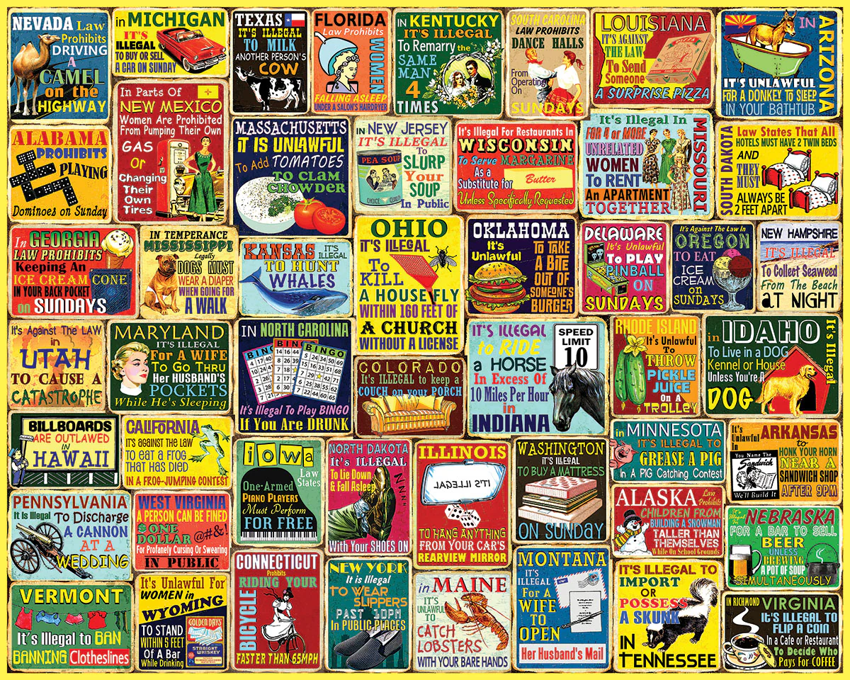 White Mountain Puzzles - Crazy State Laws - 1000 Piece Jigsaw Puzzle