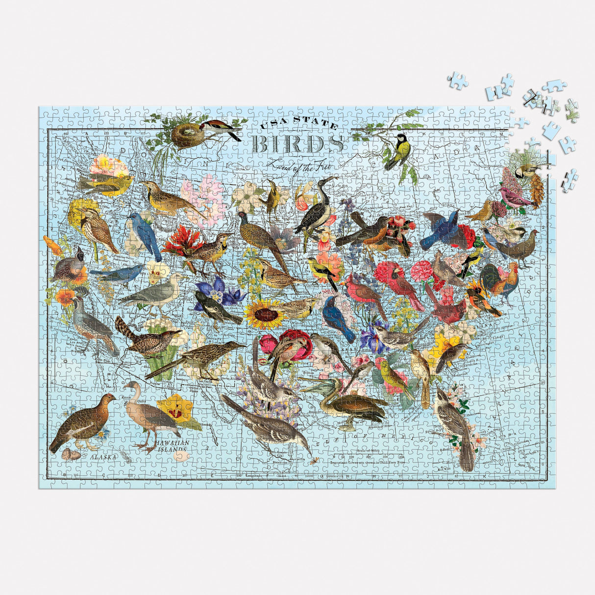 Galison - Wendy Gold State Birds 1000 Piece Puzzle