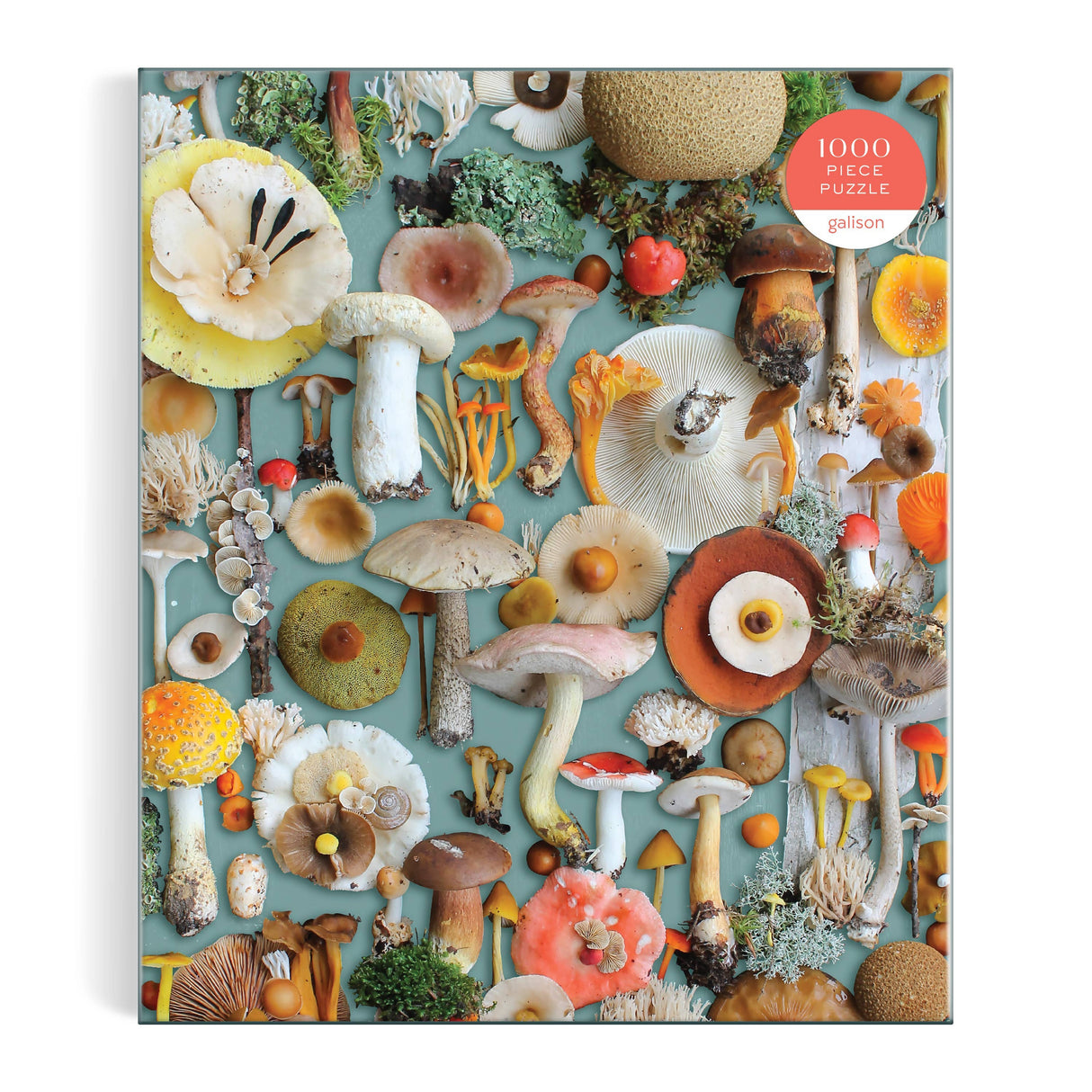 Galison - Foraged 1000 Piece Puzzle