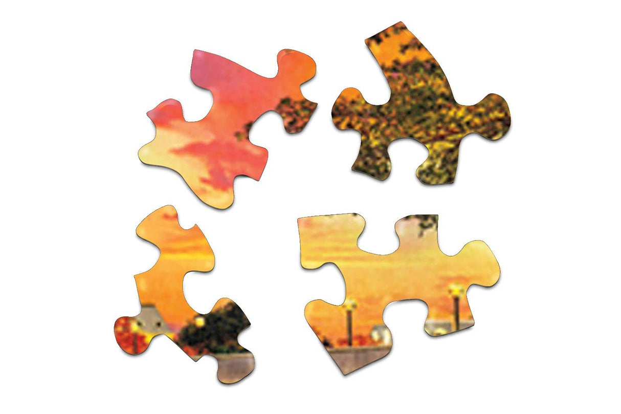 Springbok 350 Piece Jigsaw Puzzle Paris Sunset