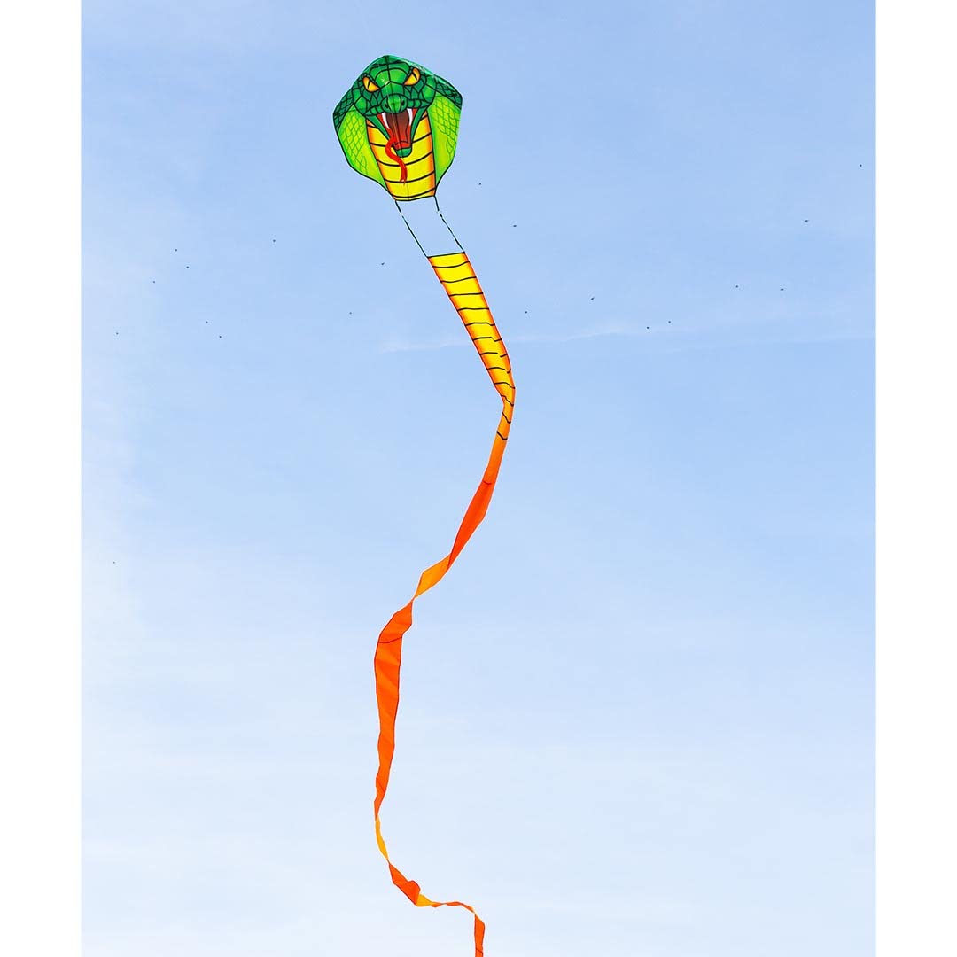 HQ Kites and Designs Emerald Cobra Kite Active Play for Ages 5 to 12