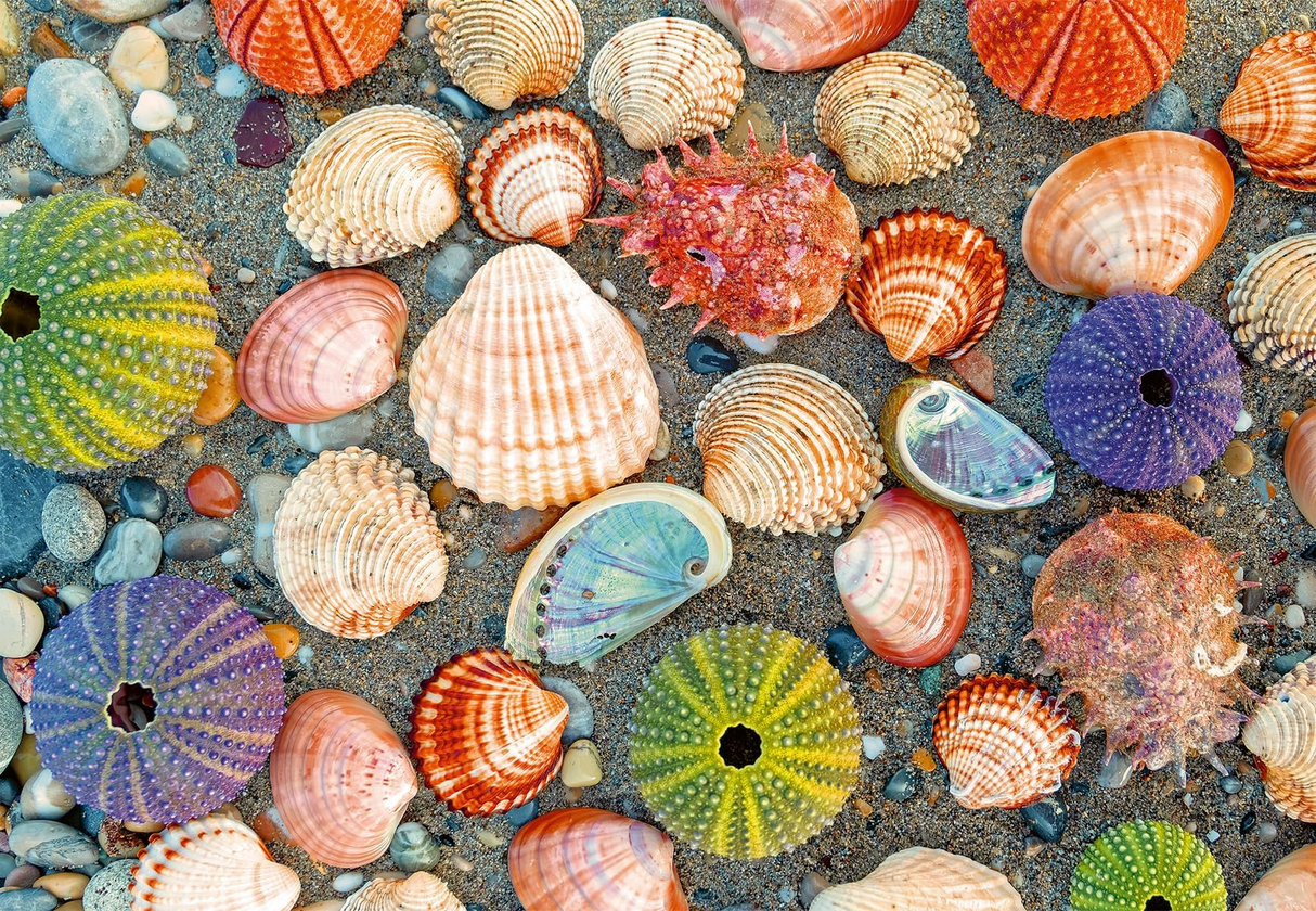 Ravensburger Puzzle Moment: by The Seashore 300 Piece Jigsaw Puzzle for Adults - Handcrafted Tooling, Made in Germany, Every Piece Fits Together Perfectly