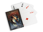 Springbok Fire & Ice standard deck