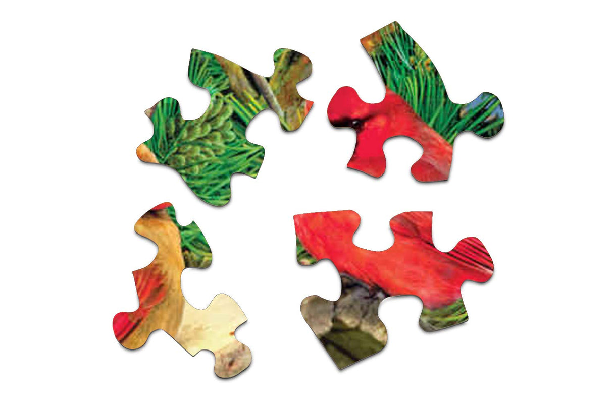 Springbok 1000 Piece Jigsaw Puzzle Feathered Retreat