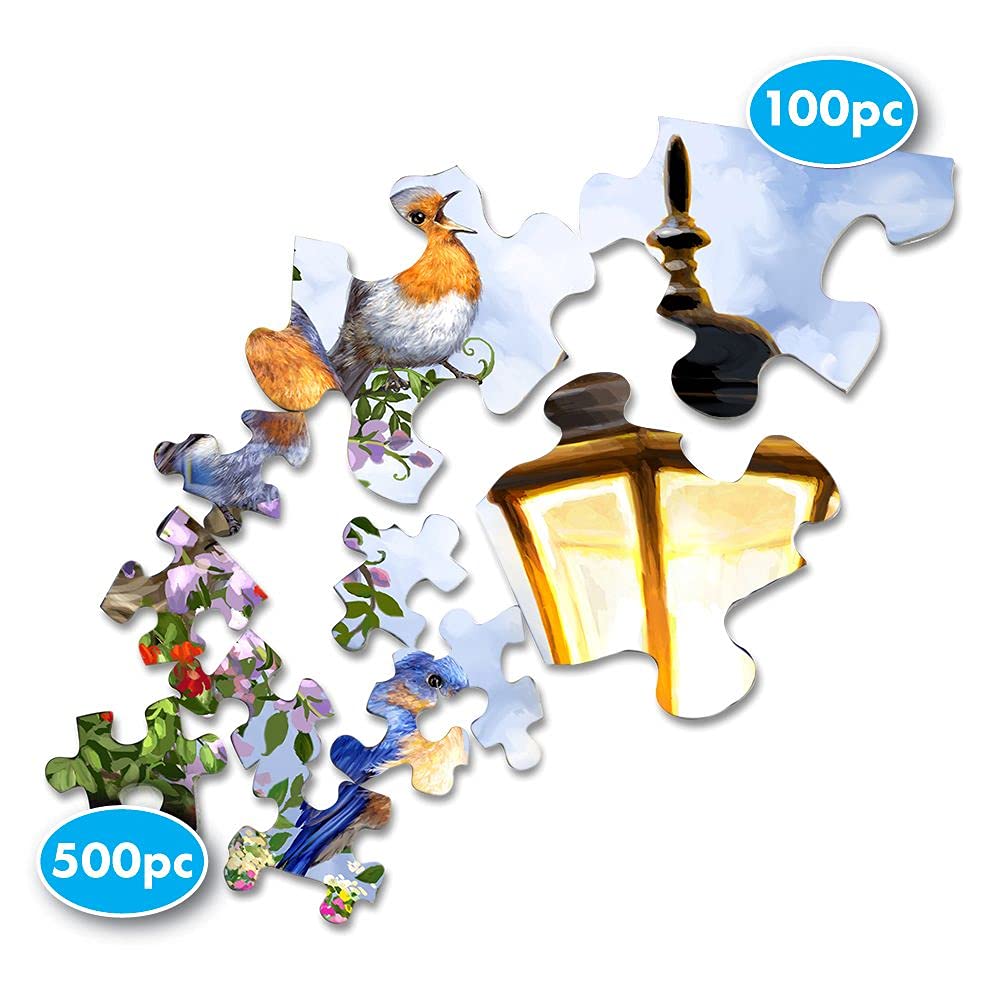 Springbok 100 Piece Jigsaw Puzzle Song Of Summer