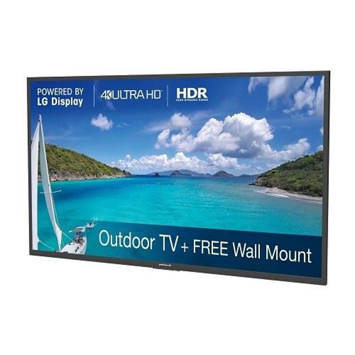 Peerless-AV NT654 Neptune 65" Outdoor Smart TV