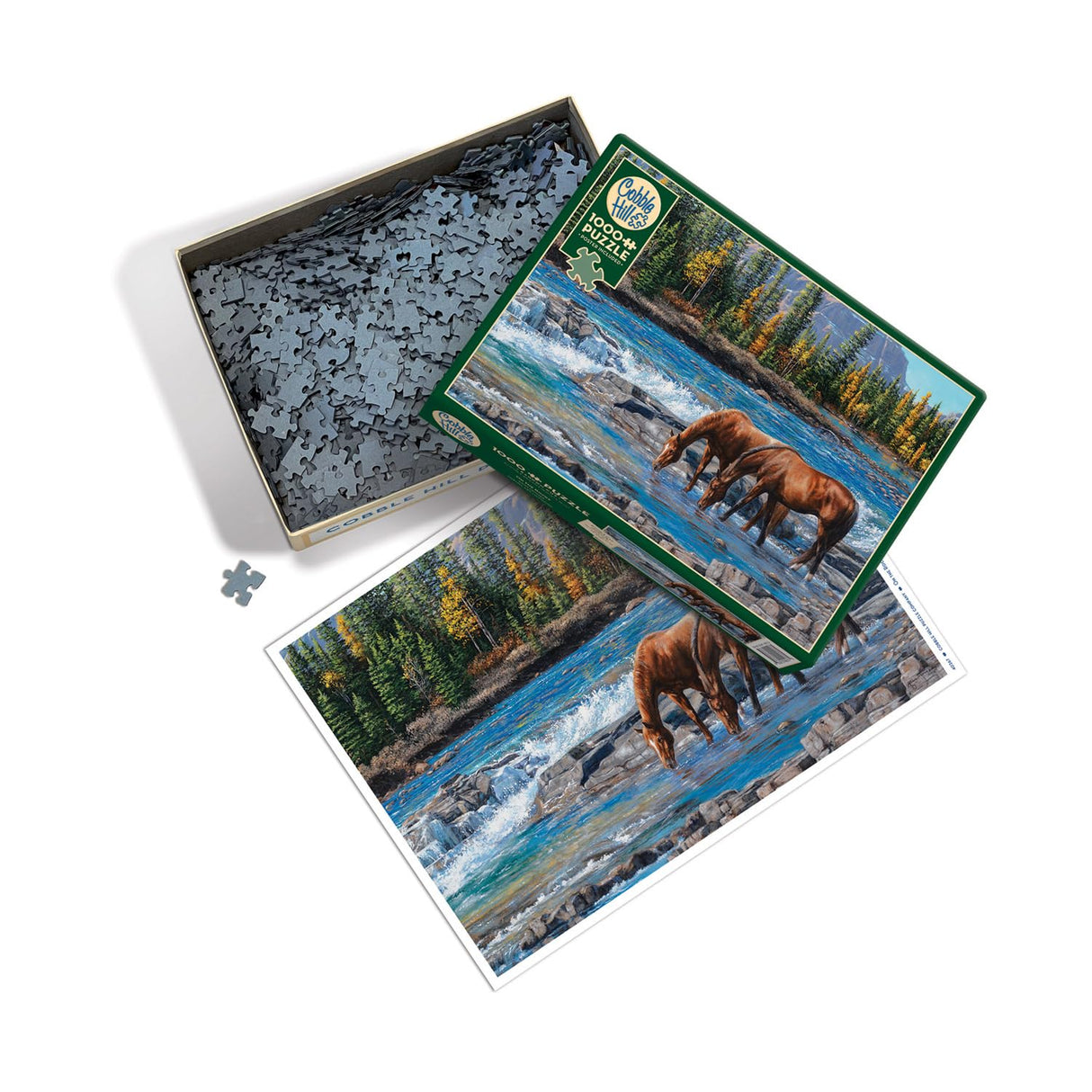 Cobble Hill 1000 Piece Puzzle - On The Rocks - Sample Poster Included