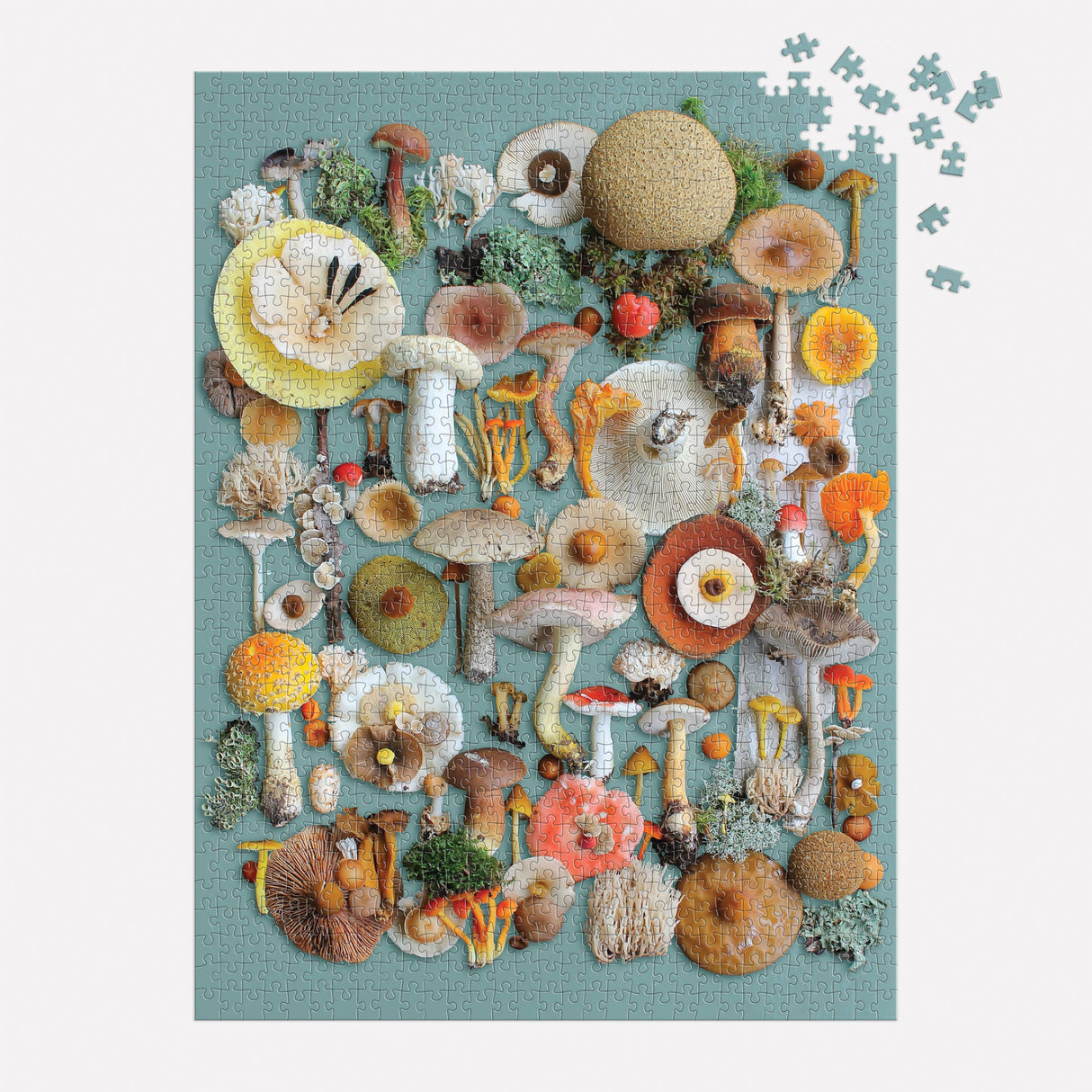 Galison - Foraged 1000 Piece Puzzle