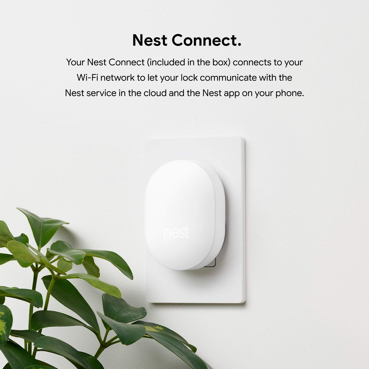 NEST X YALE - SMART LOCK WITH NEST CONNECT - SATIN NICKEL