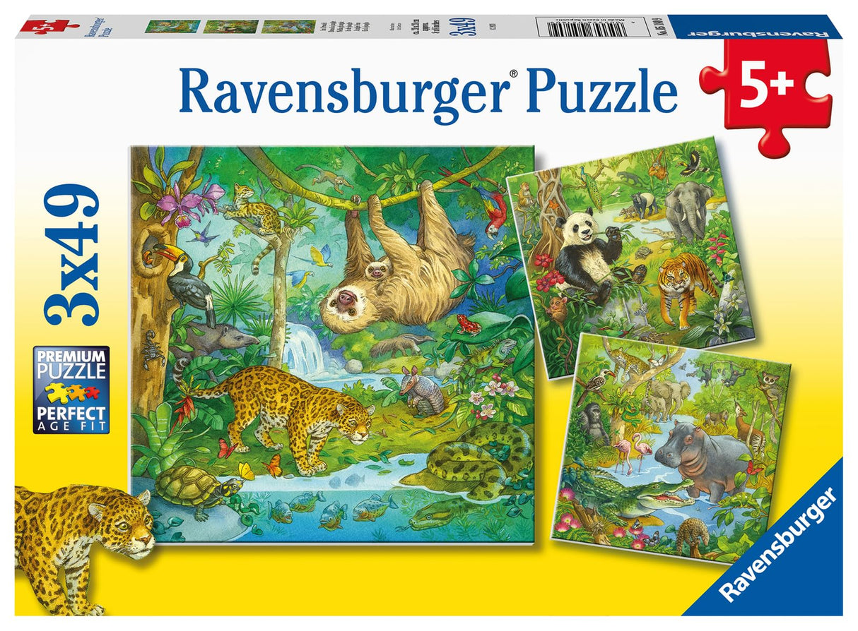 Ravensburger Jungle Fun Puzzle Set | 3x49 Piece Jigsaw Puzzles for Kids | Screen-Free Activity | Boosts Concentration and Focus | Great Gift