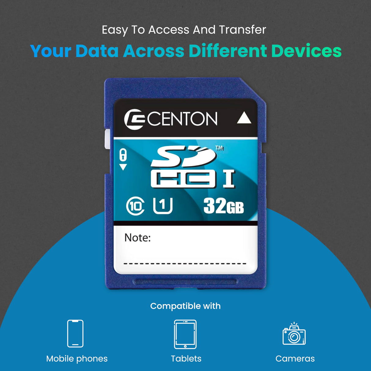 Centon Electronics Flash Memory Card (S1-SDHU1-32G)