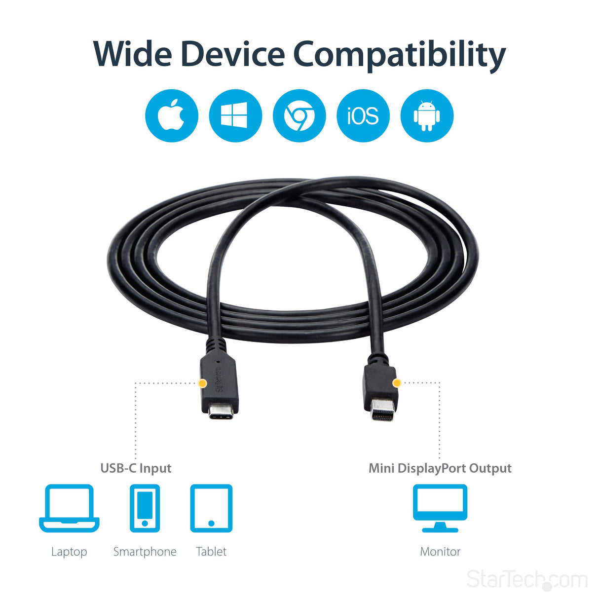 6FT USB-C TO MINI DP