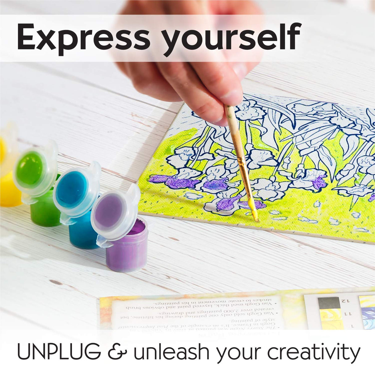 Faber-Castell Museum Series Paint by Numbers - Vincent Van Gogh Irises