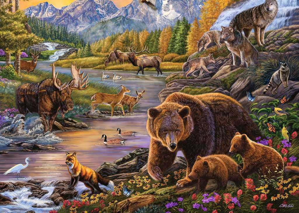 Ravensburger Wilderness 500 pc Large Format