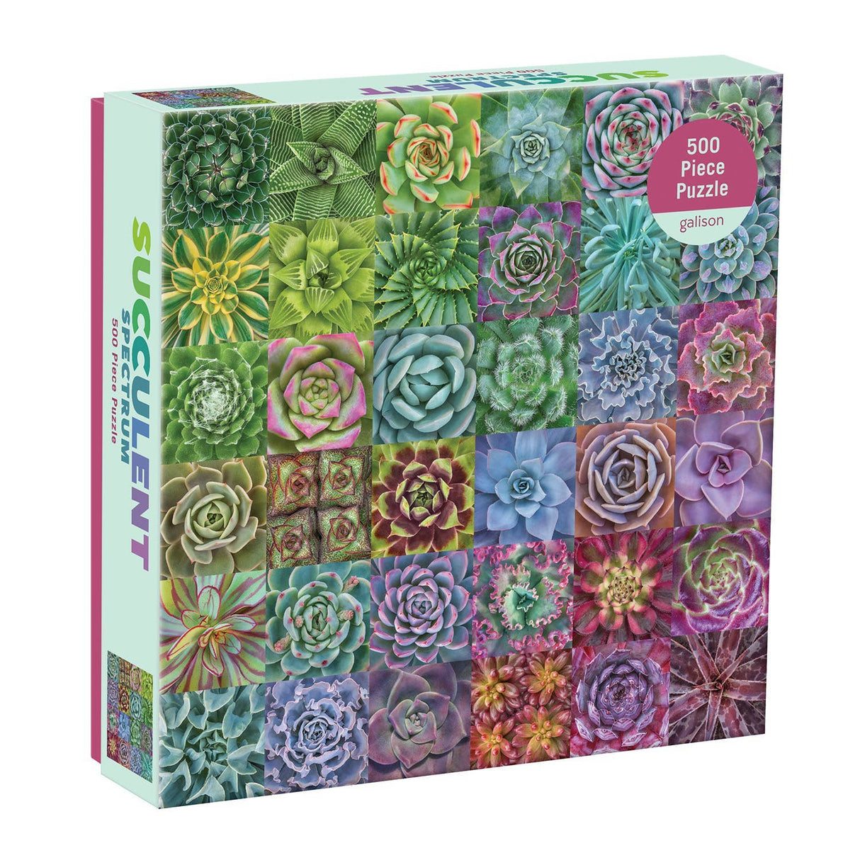 Galison - Succulent Spectrum 500 Piece Puzzle