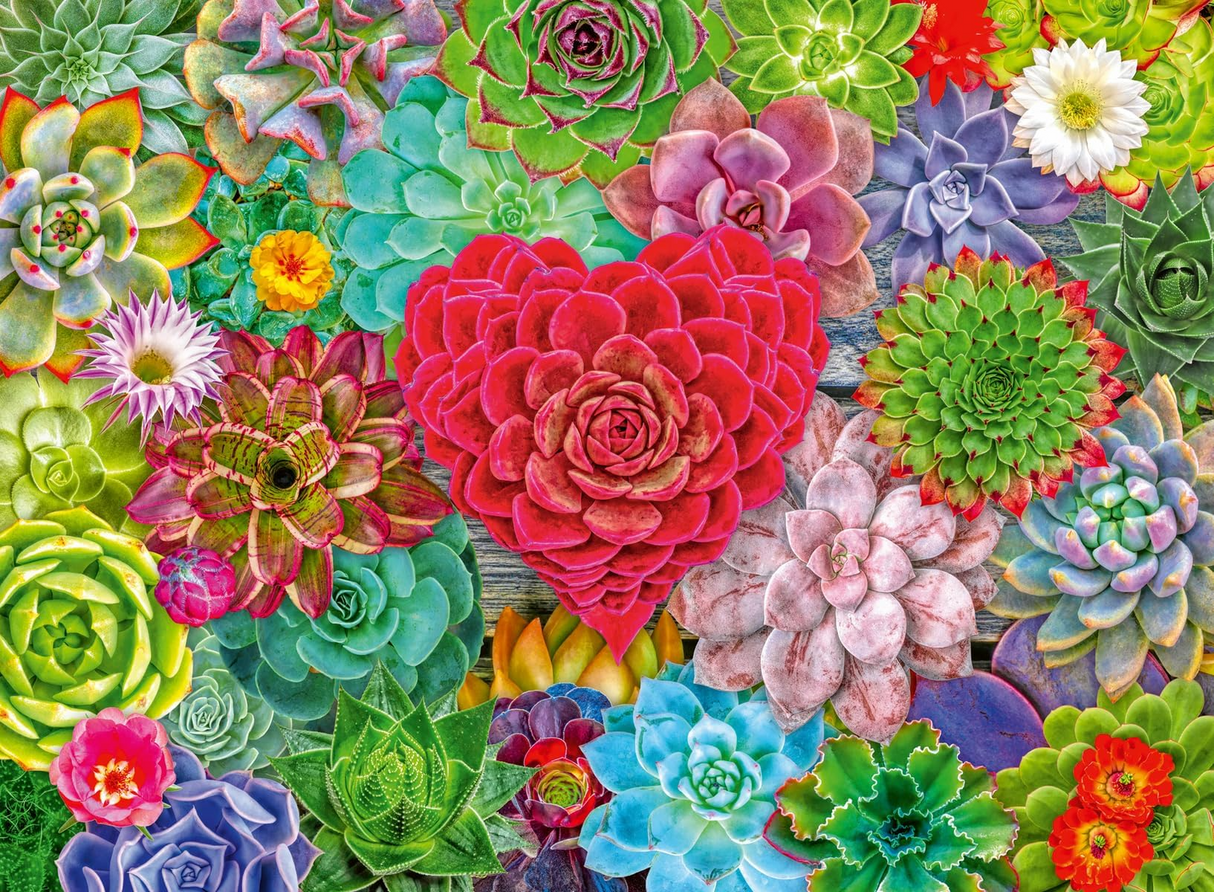 Ravensburger Succulent Love 500 Piece Jigsaw Puzzle | Visually Calming Design | Air-Purifying Plant Theme | FSC-Certified Materials