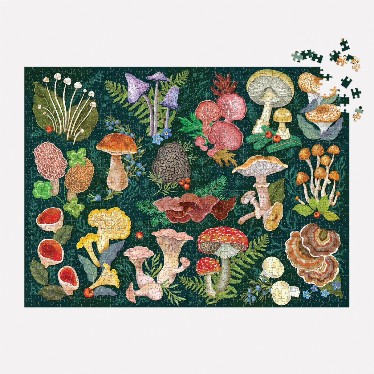 Galison - World of Mushrooms 1000 Piece Puzzle by Galison