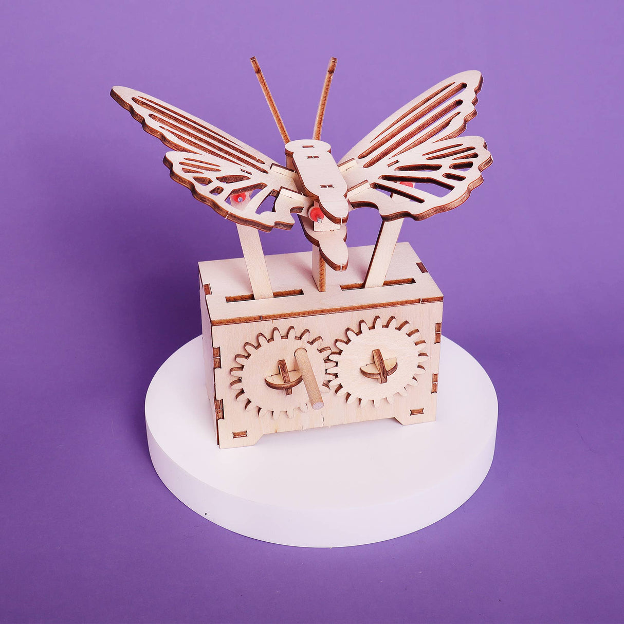 Kitsville - Fluttering Butterfly DIY Kit, Educational STEM Toy for Kids