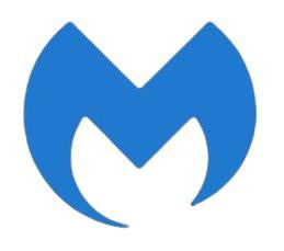 Malwarebytes 1 year