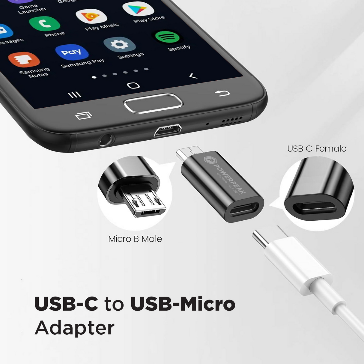 PowerPeak USB-C to Micro Adapter