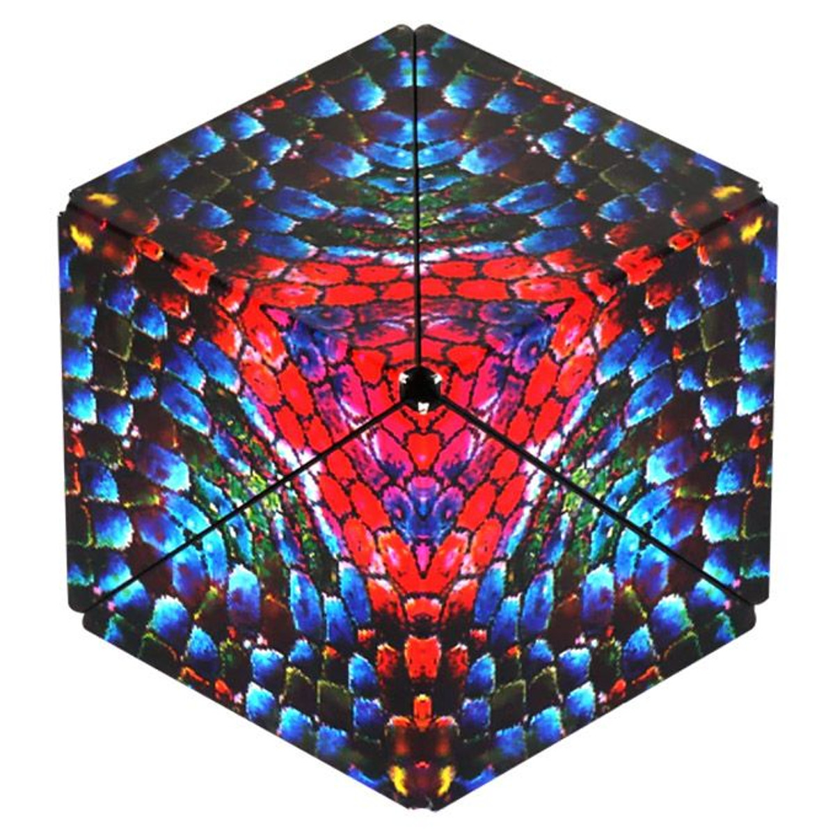 Shashibo: The Chameleon