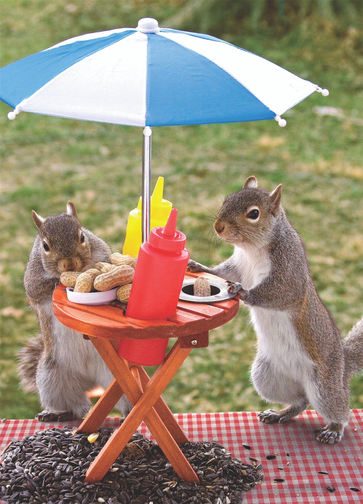 Springbok Squirrel Feeder 350 Piece Jigsaw Puzzle