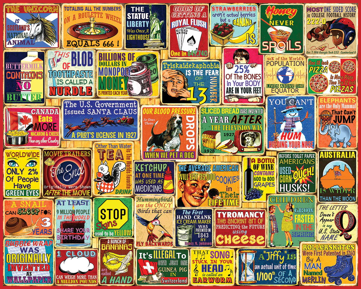 White Mountain Puzzles - Did You Know (1968pz) - 1000 Piece Jigsaw Puzzle