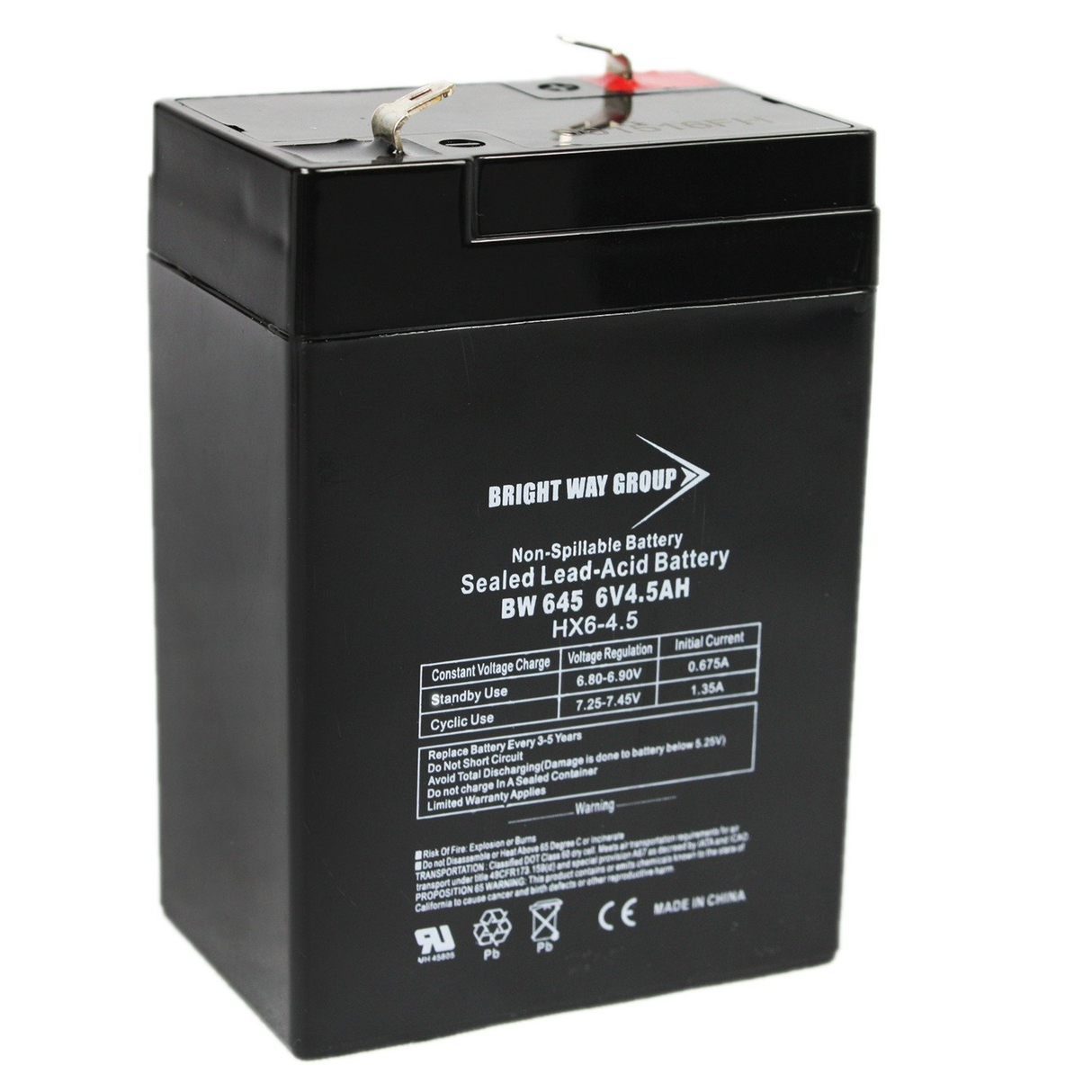 Bright Way Group BWG BW 645 F1 Battery