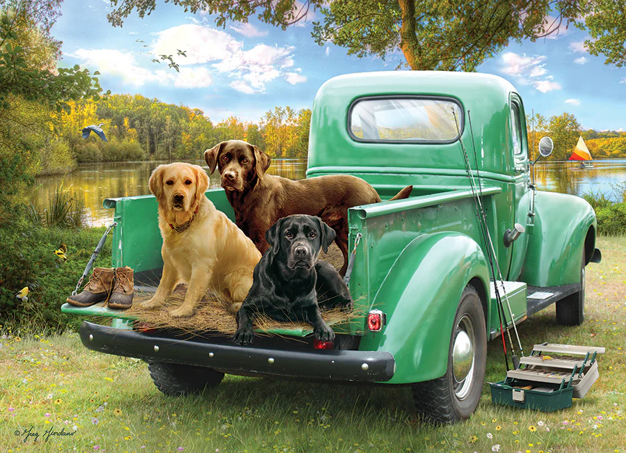 Cobble Hill Let's Go Fishing | 500 Piece Puzzle