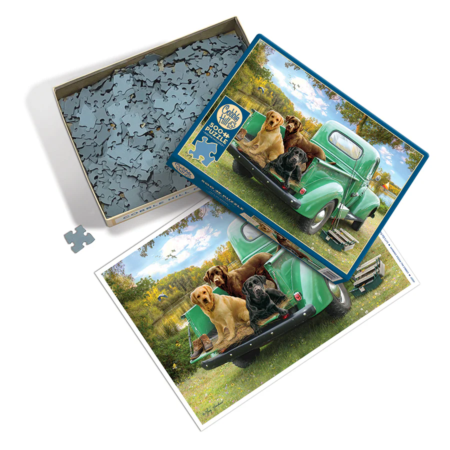 Cobble Hill Let's Go Fishing | 500 Piece Puzzle