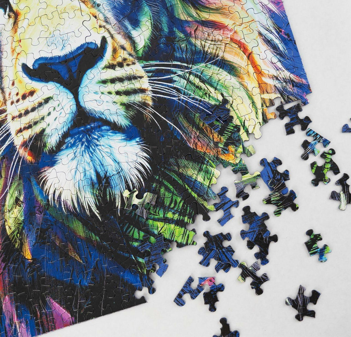 Springbok Brave Colors Of A Lion Limited Release 500Pc