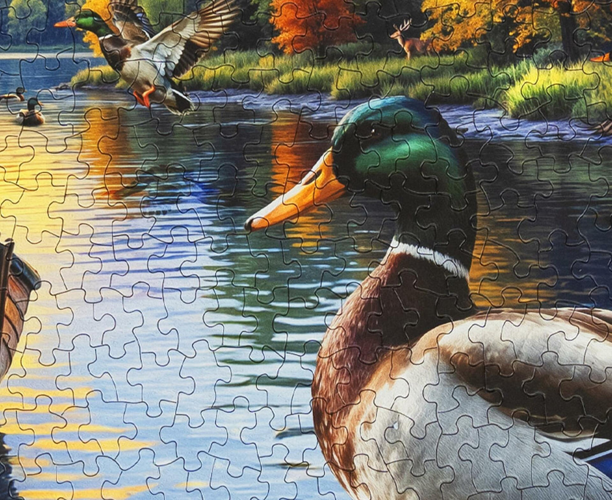 Springbok Mallard Morning Glow Limited Release 1000Pc