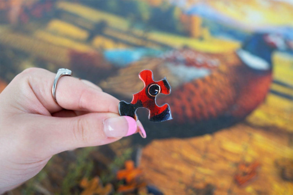 Springbok Golden Fields Pheasant 500Pc