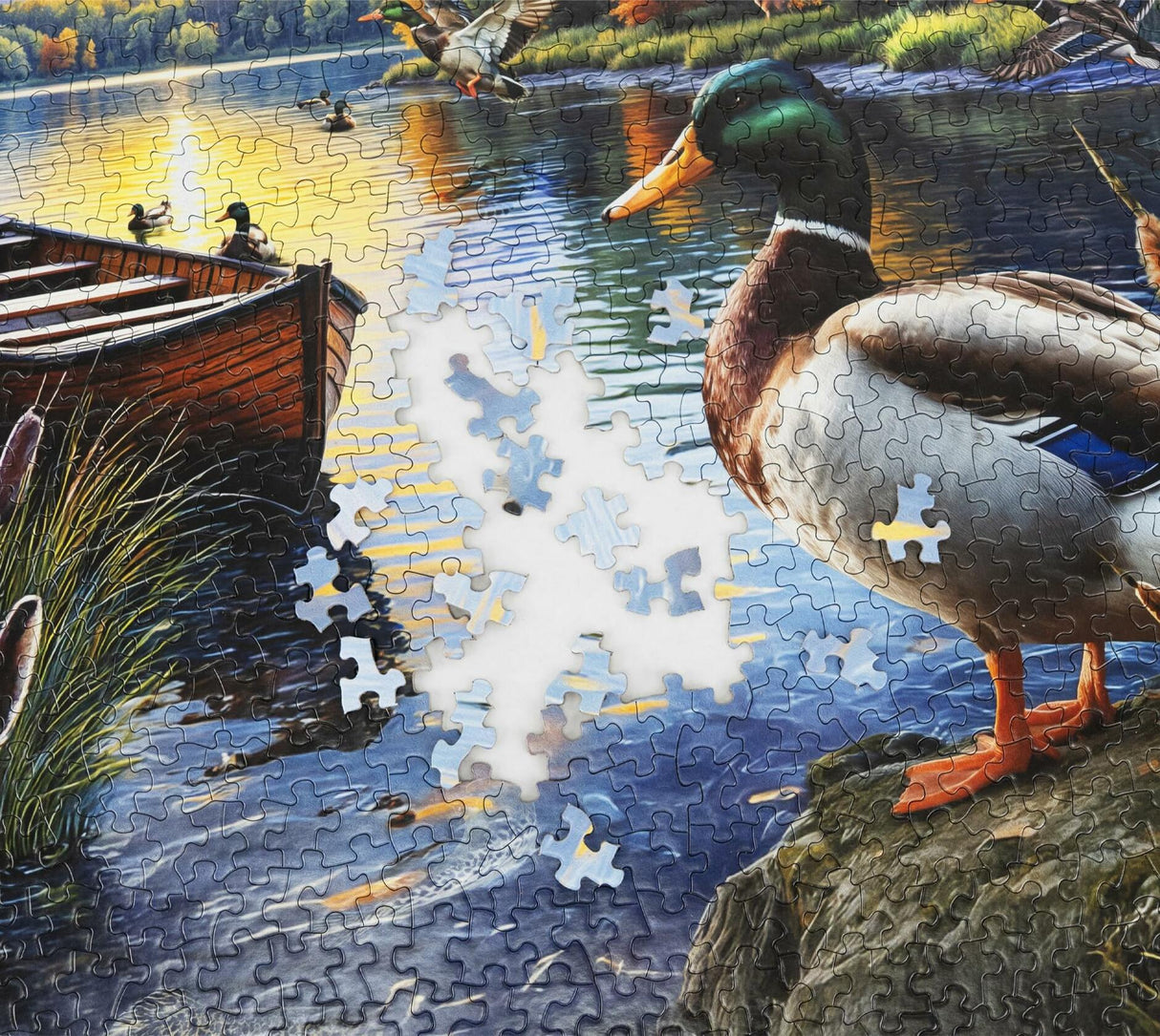 Springbok Mallard Morning Glow Limited Release 1000Pc