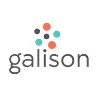 Galison Puzzles