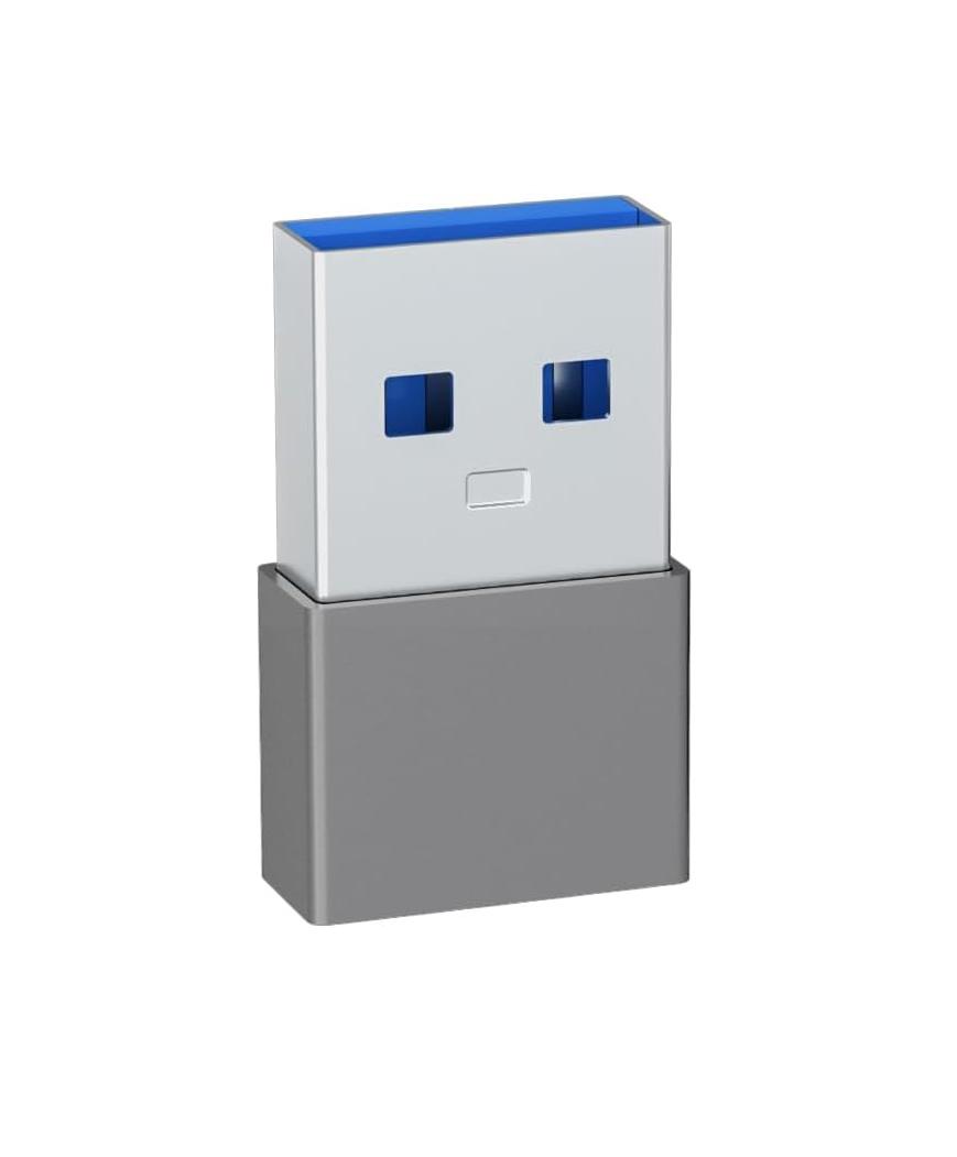 USB-C TO USB A ADAPTER 2.0 (CARPLAY ADAPTER)