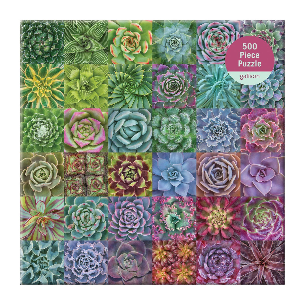 Galison - Succulent Spectrum 500 Piece Puzzle