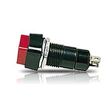 250VAC 2P SPST OFF-(ON) MOMENTARY PUSH BUTTON SWITCH, 1.5A