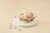 Wooden toy car with wheels on a beige background