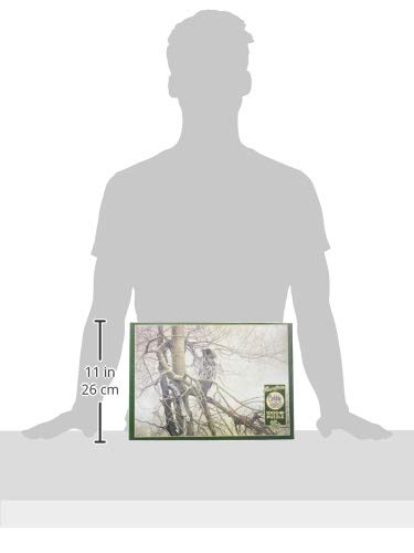 Cobble Hill 1000 Piece Puzzle - Ghost of The North Puzzle - image 3