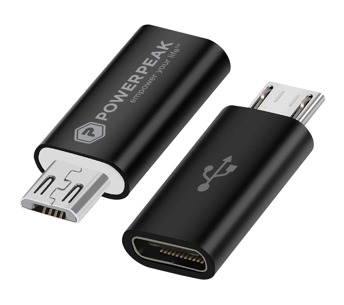 PowerPeak USB-C to Micro Adapter - image 1