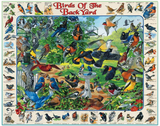 White Mountain Puzzles Birds of the Backyard - 1000 Piece Jigsaw Puzzle