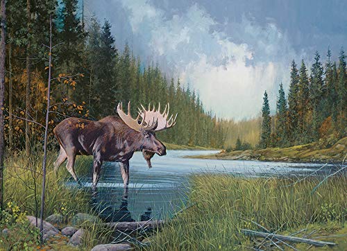 Cobble Hill 1000 Piece Puzzle - Moose Lake