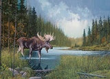 Cobble Hill 1000 Piece Puzzle - Moose Lake