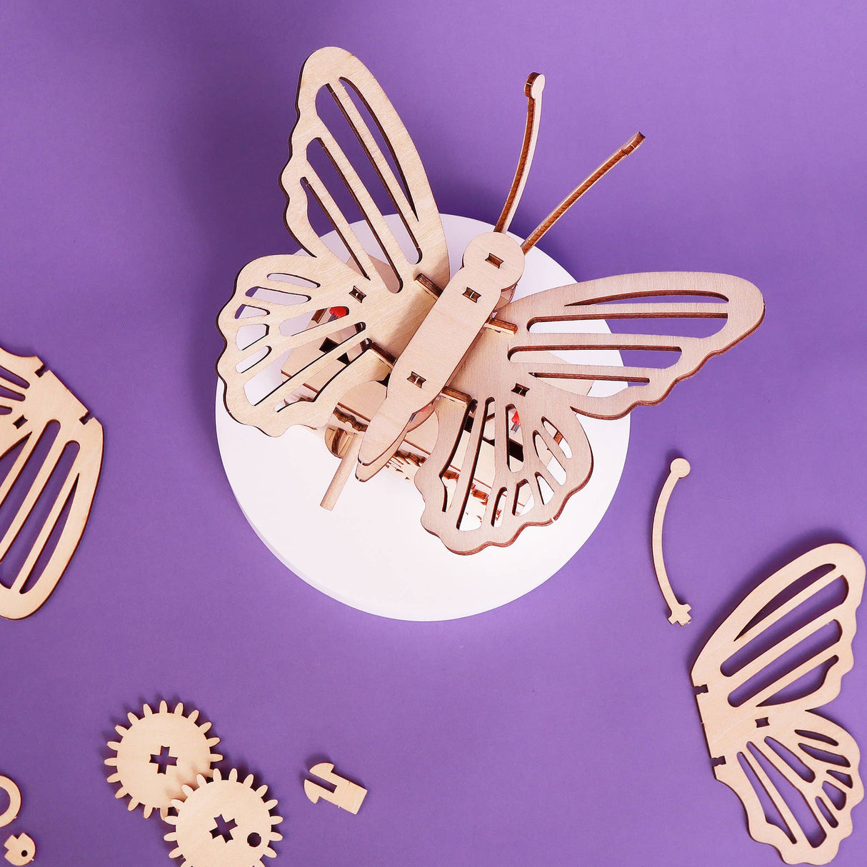 Kitsville - Fluttering Butterfly DIY Kit, Educational STEM Toy for Kids