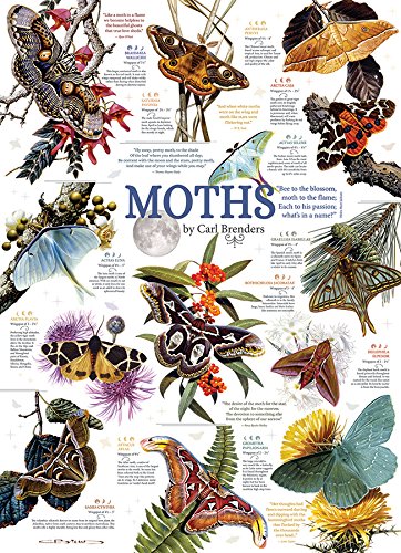 Cobble Hill 1000 pc Moth Collection Puzzle