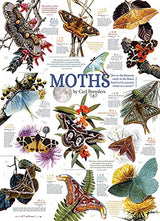 Cobble Hill 1000 pc Moth Collection Puzzle